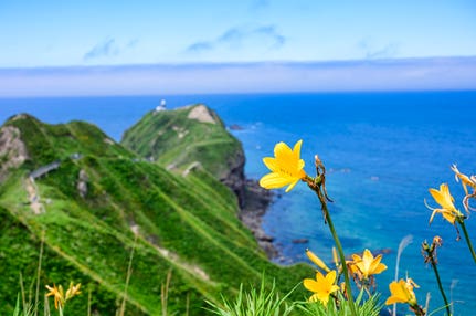 【伊丹空港発着】 夏彩の積丹・えりもと富良野・美瑛・十勝　絶品グルメ4日間