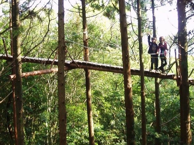 ■≪屋久島の森を鳥目線で楽しもう！キャノピーウォーク（滞在中1回）≫　往復航空機利用屋久島　3泊4日2