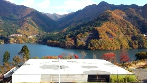 ＜Web割対象商品＞【キングツアーバス旅】ローカル列車に揺られてもみじ狩り！わたらせ渓谷鐵道と高津戸峡 感動の富弘美術館〔明大前・新宿発〕3