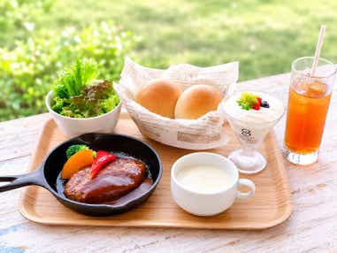 【東京都内発※町田を除く】 初登場!八天堂スイーツビュッフェランチ 房総の秘境へ!紅葉の時期だけ特別運行『亀山湖紅葉クルーズ』日帰り