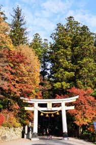 【福島県・新幹線駅(福島駅・郡山駅・新白河駅)発】 JRで行く!秋色の高尾山・秩父長瀞・小江戸川越散策と寳登山神社参拝(2日間)