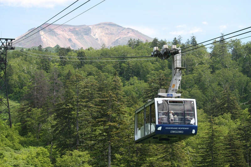【鹿児島空港発】 シーズン到来！旭岳ロープウェイで行く雲上の高山植物と北海道ガーデン街道３日間3