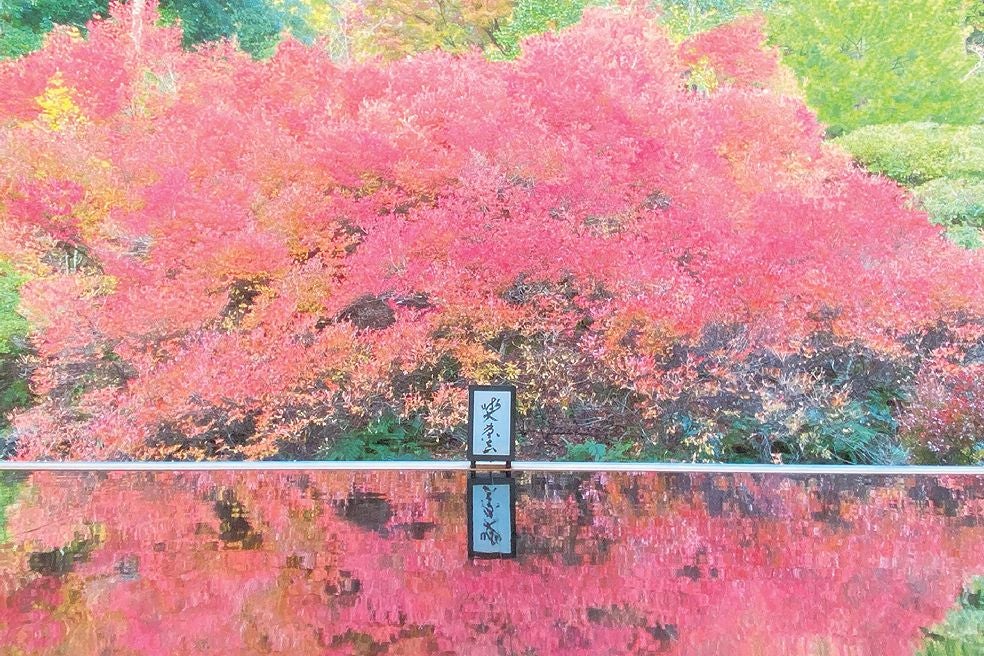 ＜兵庫＞息を呑む絵画の世界 但馬「安國禅寺」色鮮やかなドウダンツツジのお庭と出石町「永楽館」【垂水･名谷･西鈴蘭台出発】1