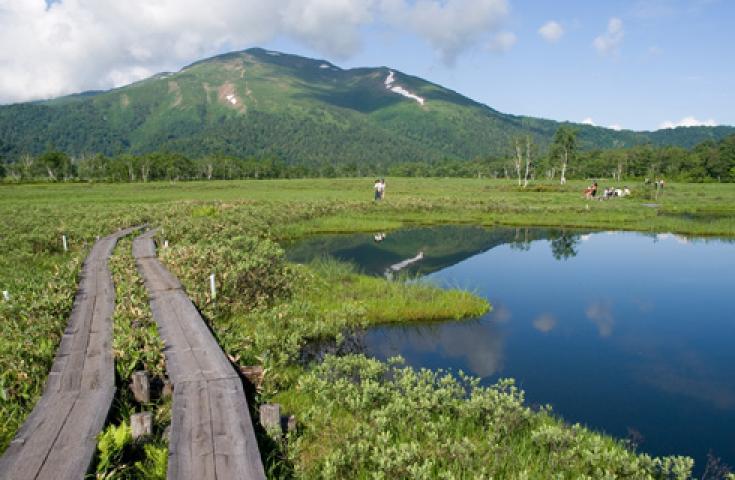 【朝発日帰り】[新宿発]＜鳩待峠＞野花咲く遥かな『尾瀬』ハイキング日帰りバスツアー1