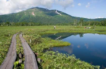 【朝発日帰り】[新宿発]＜鳩待峠＞野花咲く遥かな『尾瀬』ハイキング日帰りバスツアー