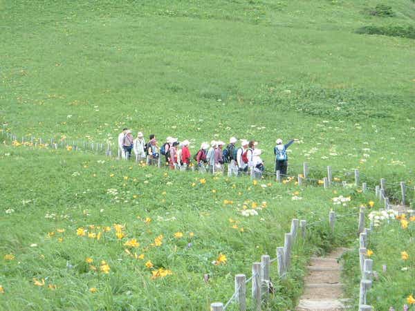 【栃木県内発】 往復「稚内空港」利用！利尻・礼文・稚内３日間 　花ガイドとめぐる花の楽園2