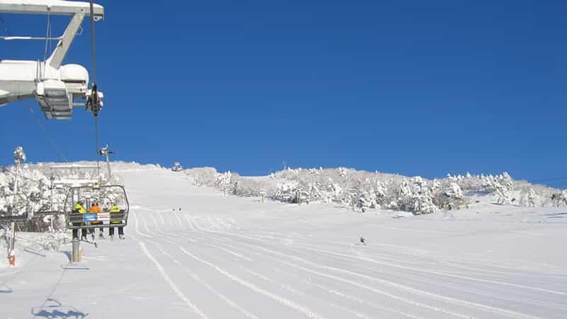 【新宿朝発】ぶっとび！日帰りスキー＆スノボ｜X-JAM高井富士&よませ温泉（リフト券付）2