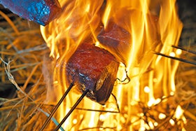 姫路・龍野　発
本場高知の鰹藁焼き体験と鰹尽くし料理2