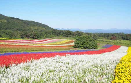 【福島県内発】 秋の虹色ガーデンと秘湯〇〇温泉で洋風懐石御膳 　敬老の日ミステリーツアー 日帰り