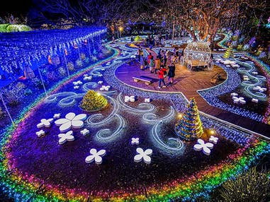 ■＜Live News イット！で紹介されました！＞【群馬・栃木】キラッキラの冬！特選牛すき焼きと甘エビ食べ放題＆あしかがフラワーパーク「光の花の庭」イルミネーション＆いちご狩り食べ放題♪