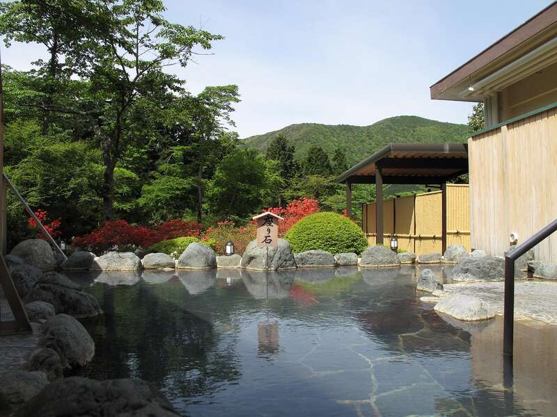 【京滋エリア発】 極上の冬富士と箱根名湯美食旅～時之栖イルミネーション・ラリック美術館と名物食べ歩き2日間1