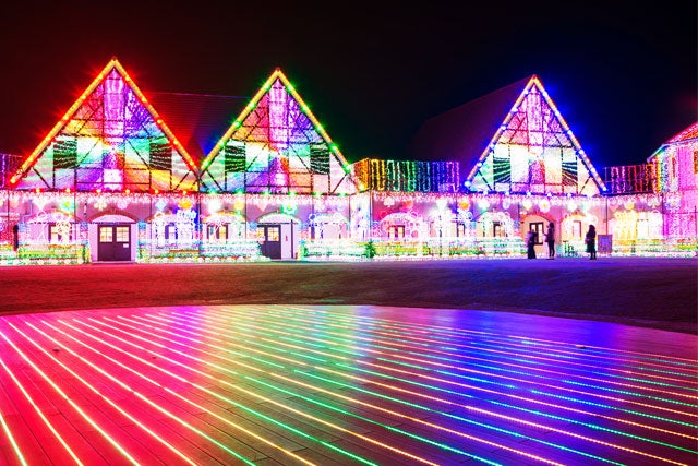 【新宿発】「東京ドイツ村」ウィンターイルミネーション＆南房総いちご狩り！！話題の川崎工場夜景に、館山のフォトジェニックなスポットを巡る♪よくばり日帰りバスツアー1