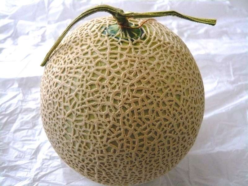 【栃木県内発】 母の日ミステリーツアー　日帰り3