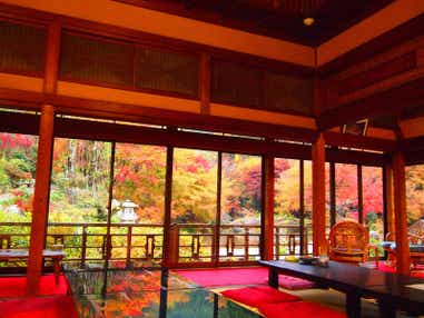 【柳川・みやま・羽犬塚・西鉄久留米発】 1万本の紅葉が彩る環境芸術の森&浜野浦の棚田 自然が描く2つの風景美めぐり 日帰り