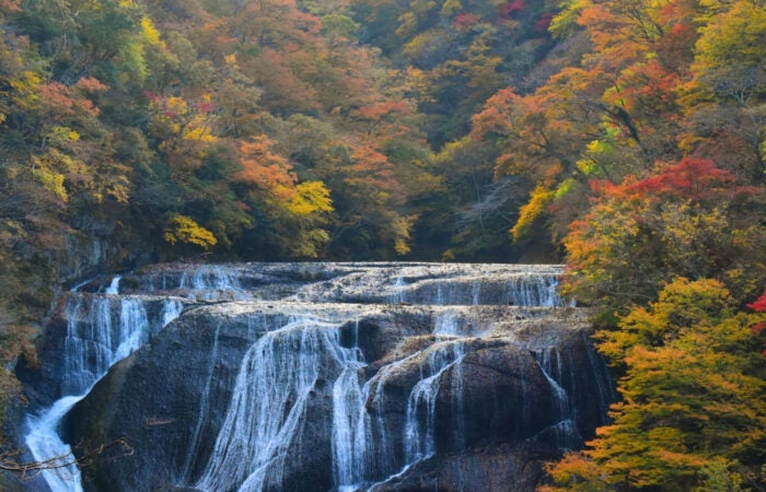 【横浜発】袋田の滝と竜神大吊橋 紅葉感じる日本三名瀑「袋田の滝」とスリル×自然を満喫「竜神大吊橋」1