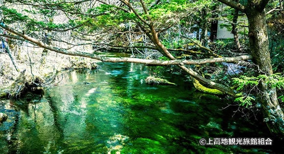 ＜新宿発・西船橋発＞ 新緑と残雪の上高地さんぽ♪　～雪どけの北アルプスに春到来♪～2