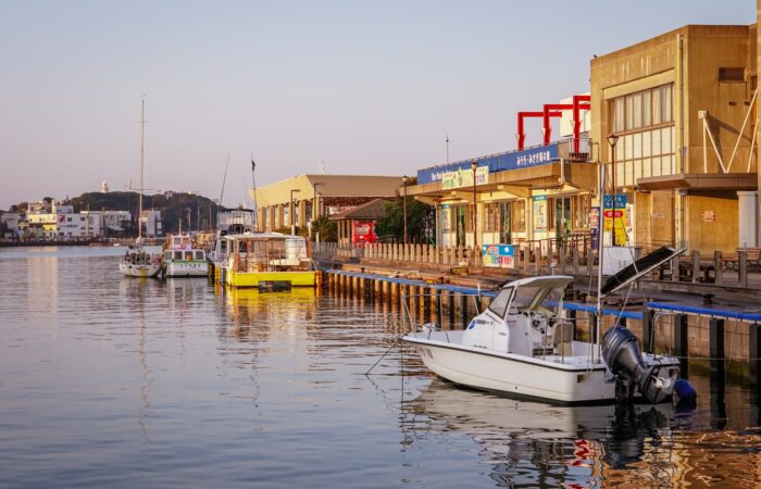 【西船橋発】　春の三浦海岸を散策！1,000本の河津桜と贅沢まぐろ御膳で贅沢なひととき♪3