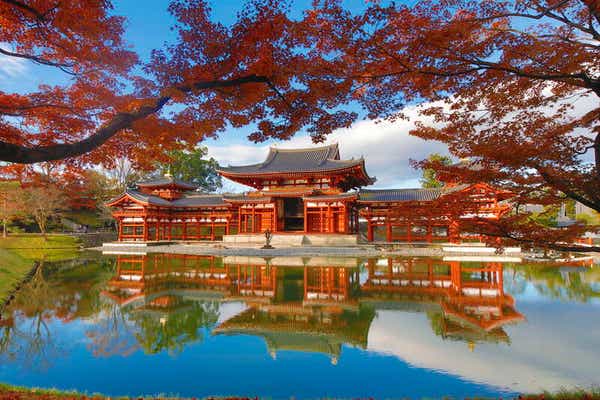 【阪神エリア発】 宇治の秋彩三景～世界遺産 平等院・興聖寺・萬福寺～　日帰り2
