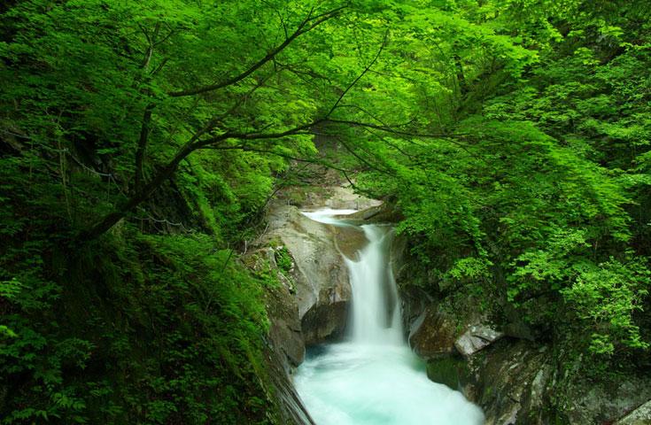 [新宿発]一生に一度は行きたい新緑の西沢渓谷ハイキング！神秘の渓谷散策＆絶景滝めぐり【山好きスタッフがハイキングに同行します！】3