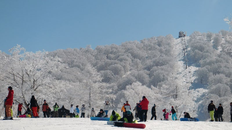 【新宿夜発】ぶっとび！日帰りスキー＆スノボ｜野沢温泉スキー場（リフト券付）2