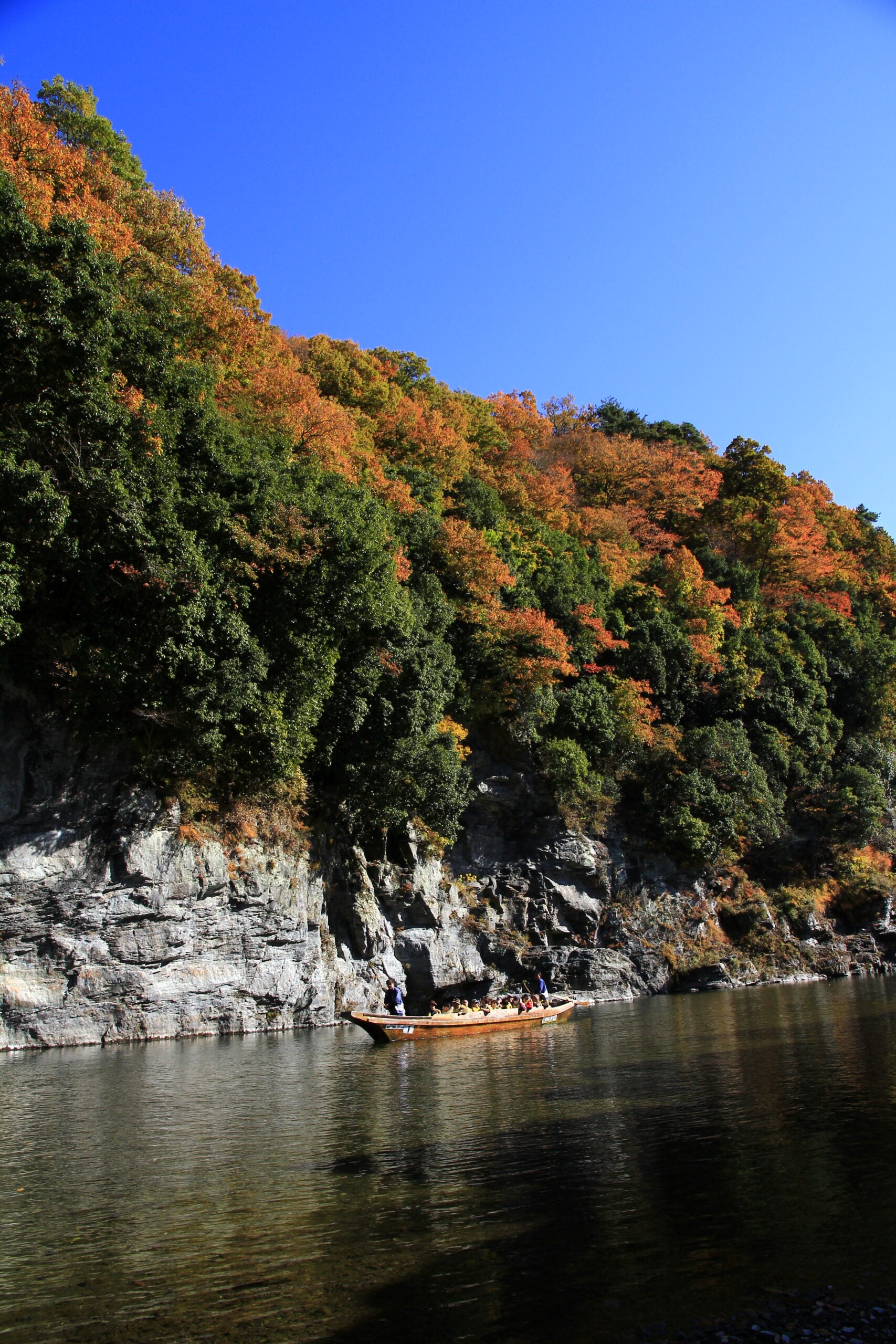 鳳凰の旅【京成船橋発】紅葉の長瀞・岩畳と秩父神社＜コースNo.26-1115＞（京成トラベル）2