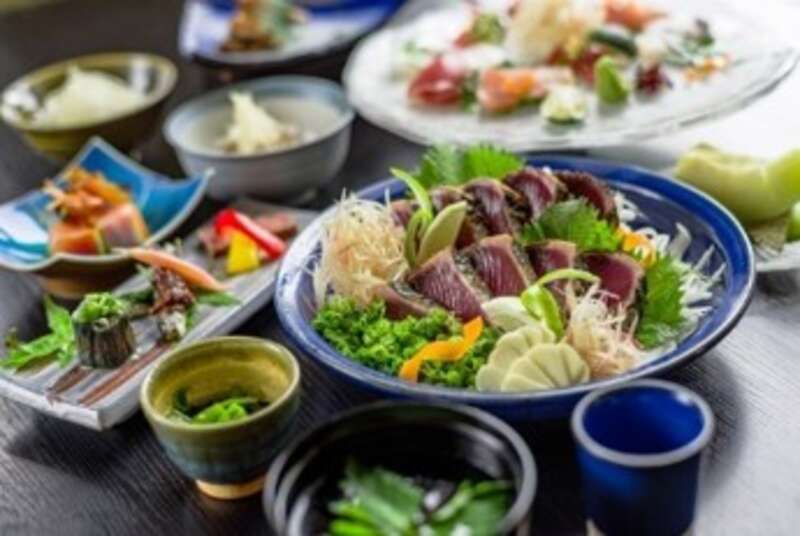 【JR福山駅発】TheMana Village（ザマナヴィレッジ）に泊まる！行くぜよ高知・あしずり温泉郷 ２日間2