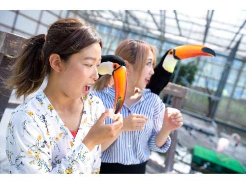 【名古屋発】家族で楽しむ！「きかんしゃトーマス号」に乗車体験と掛川花鳥園2