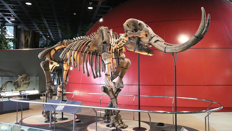 【B/倉敷・岡山ルート】歩行者専用　日本で最も長い吊り橋　GODA BRIDGE　三田屋本店にて生演奏ランチ3