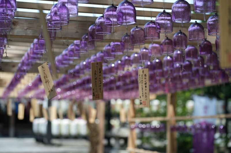 【行橋・苅田・下曽根発】 シャインマスカット・梨・ぶどう 旬の３つのフルーツお持ち帰り！博多和牛＆松茸を味わう八女・筑後・柳川　日帰り2