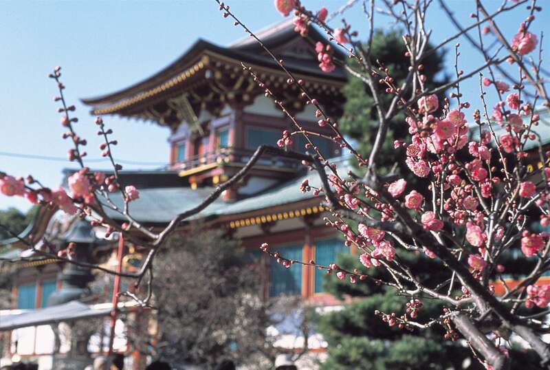 【新大阪駅・新神戸駅発】 おいでませ山口！　～白狐がみつけた美肌の湯～山口の名湯湯田温泉に泊まる長州路八景めぐり２日間1