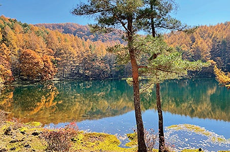 八ヶ岳山麓・蓼科湖畔のリゾートホテルに3連泊 深緑の蓼科高原でゆったり過ごすくつろぎの旅4日間1