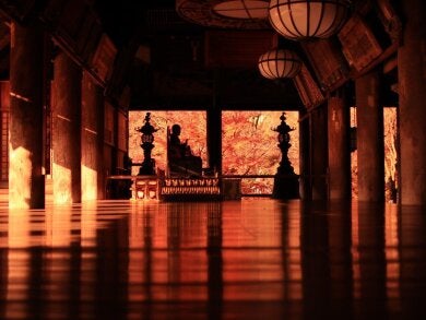 名刹が彩る紅葉の奈良2日間～依水園・室生寺・長谷寺・談山神社～2