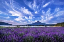 １名参加ＯＫ！【蒲郡・相見・岡崎発】＊1泊４食付＊『富士山五合目と絶景の富士山 季節花鑑賞 河口湖温泉』1