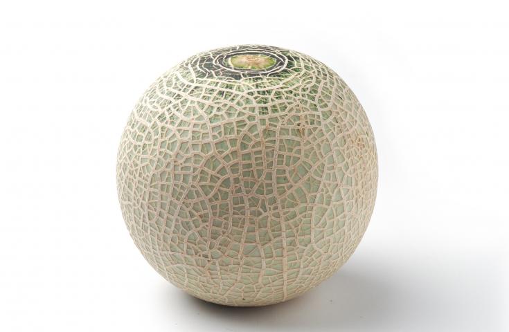 [新宿発]vipツアー限定！自社運営レストラン【かにと和牛富士山亭】に行くシリーズ♪カニで味わうVIPの極み★カニ食べ放題×うれしい「メロン1玉」お持ち帰り！新倉山浅間公園に老舗ワインセラーで試飲体験♪2