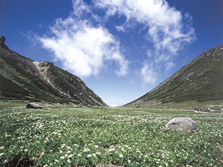 中部発　日帰り　マイカーでは行けない！日本百名山　標高２，７０２ｍまでバスで行けちゃう！絶景　乗鞍スカイラインと乗鞍岳！2
