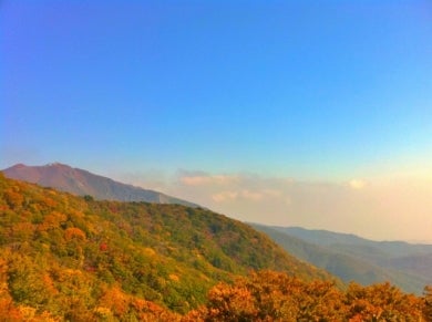 世界文化遺産「佐渡島の金山」と秋色に染まる佐渡・新潟 4日間1
