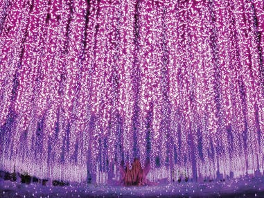 🔥催行決定12/1🔥【新宿発】日帰りバスツアー🚌『6,000円台～ぶっとび格安✨』日本３大イルミネーション「あしかがフラワーパーク」光の花の庭鑑賞🌹✨＆蛸屋 工場直売おかしパーク「栃木銘菓 みかもの月」詰め放題😋＆SNS映え確実📸「岩下の新生姜ミュージアム」＆日本のど真ん中！「道の駅 どまんなかたぬま」でショッピング👜