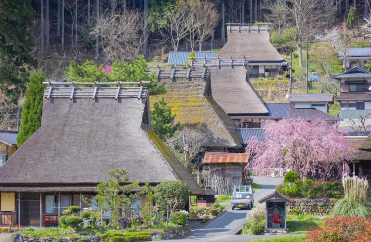 [難波/京都発]日本三景の一つ海の京都天橋立と茅葺屋根のがかわいい美山！昼食はカニ付きの「和食会席料理」をご堪能！フォトジェニックな日帰りバスツアー！(英語語ガイド付)1
