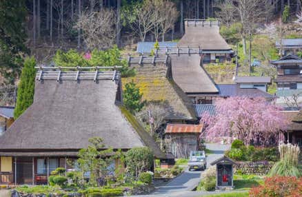 [難波/京都発]日本三景の一つ海の京都天橋立と茅葺屋根のがかわいい美山！昼食はカニ付きの「和食会席料理」をご堪能！フォトジェニックな日帰りバスツアー！(英語語ガイド付)