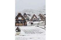 【名古屋駅発】＊日帰り食事なし＊『飛騨高山＆［世界遺産］白川郷散策　Shirakawa-go & Takayama』3