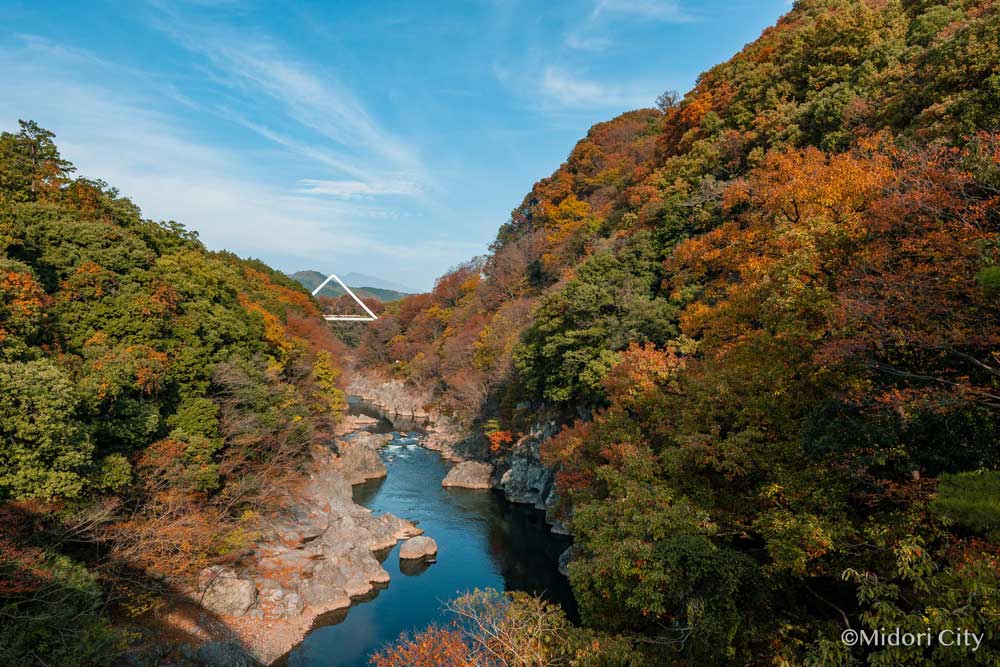 紅葉のわたらせ渓谷鉄道トロッコ電車とあしかがイルミネーションバスツアー2