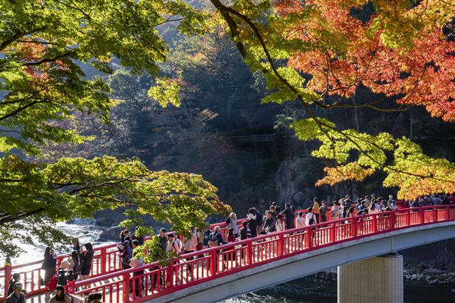 ■オリオンツアー５０周年記念第５弾！岐阜名古屋発自由食だからお値打ちプラン！ゆっくり出発！東海エリア紅葉の名所ナンバーワンの香嵐渓もみじまつり2026年昼間もライトアップも楽しめる日帰りバスツアー1