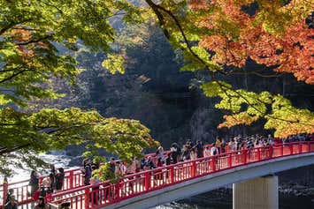■オリオンツアー５０周年記念第５弾！岐阜名古屋発自由食だからお値打ちプラン！ゆっくり出発！東海エリア紅葉の名所ナンバーワンの香嵐渓もみじまつり2026年昼間もライトアップも楽しめる日帰りバスツアー