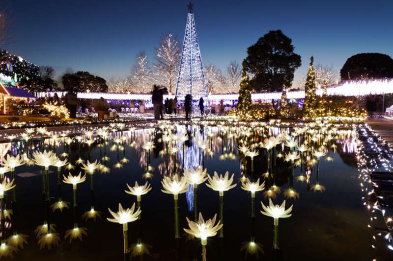 【秋田市内発】 北関東の春の3つ花めぐり あしかがフラワーパークの大藤　～ふじのはな物語～　と 国営ひたち海浜公園のネモフィラ＆館林のつつじが岡公園 2日間2