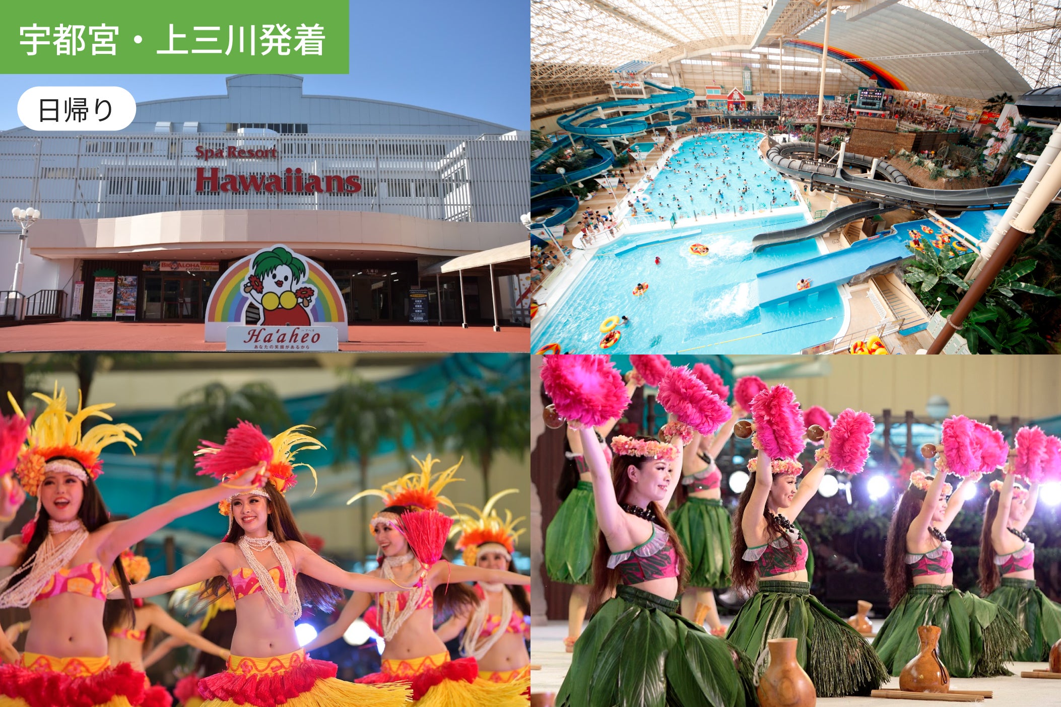 【宇都宮・上三川発着】日本でハワイ気分！ハワイアンズで遊び放題1