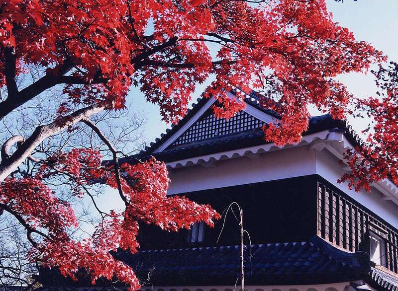 【群馬県内発】 信州秋の味覚満喫旅！ 紅葉名所の上田城と北国街道柳町食べ歩き1