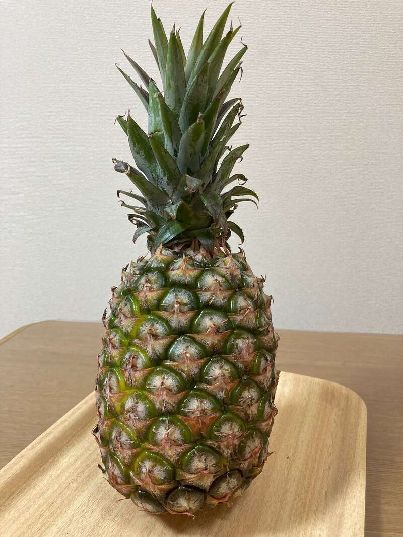 【京都エリア発】 母の日ミステリー　日帰り3