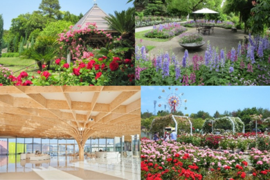 【広島駅新幹線口発着／日帰り】初夏のばら鑑賞と 世界で最も美しい美術館 下瀬美術館1