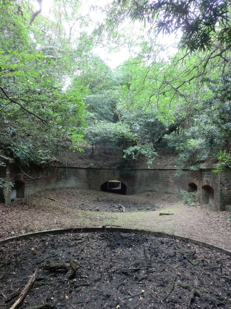 【阪神エリア発】 歴史と自然の絶景を体感！無人島「友ヶ島」探索の旅　日帰り1