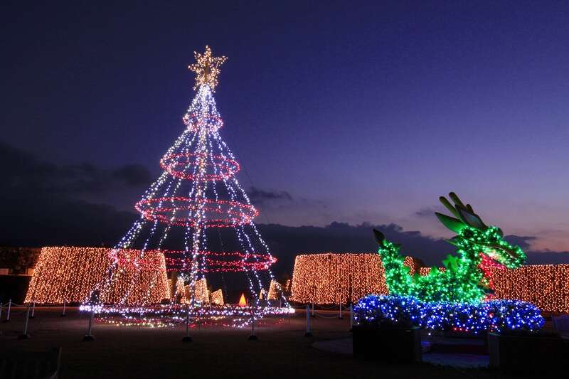 【高知県内発】 まんのう公園ウィンターファンタジーと天空の鏡・父母ヶ浜 日帰り2